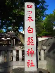 白髭神社の建物その他