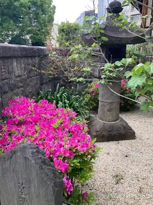 高徳寺(東京都)
