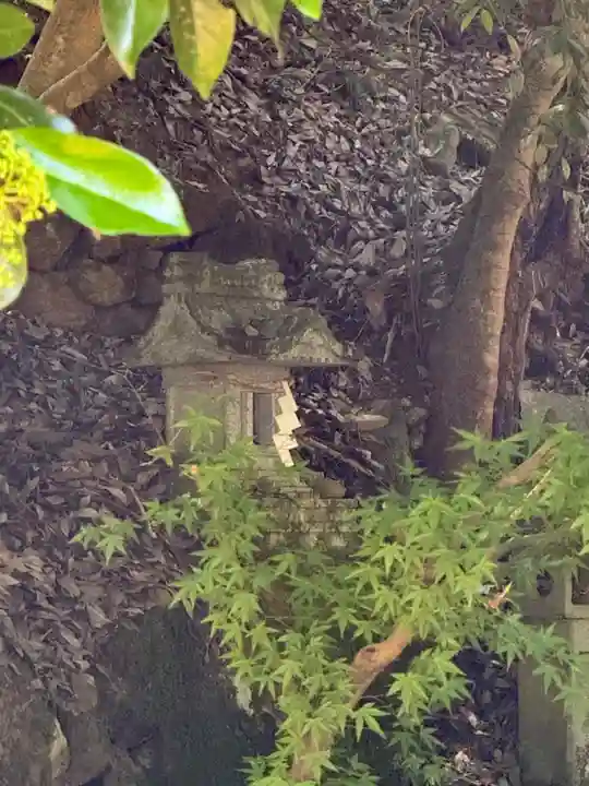 諸杉神社(兵庫県)