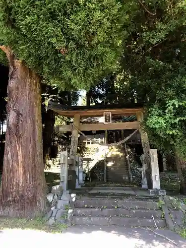 早楢神社の鳥居