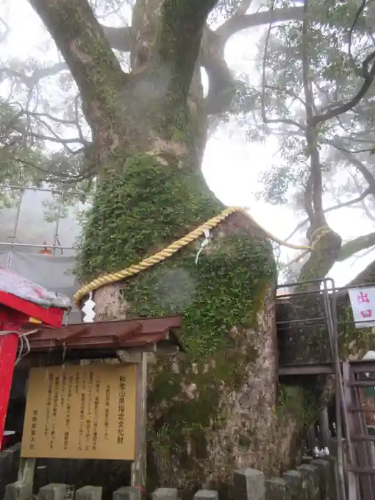 熊野那智大社のその他建物