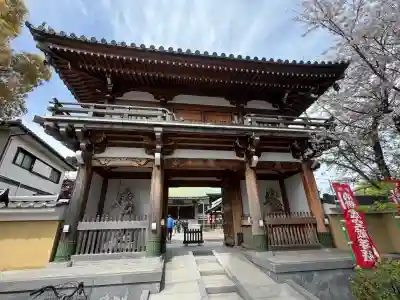 能満寺の{uncategorized: "未分類", other: "その他", undefined: "問題あり", building: "その他建物", grave: "お墓", sacred_gate: "鳥居", guardian: "狛犬", statue: "像", buddha: "仏像", history: "歴史", nature: "自然", garden: "庭園", animal: "動物", pagoda: "塔", temizu: "手水舎", mountain_gate: "山門・神門", sanctuary: "本殿・本堂", subordinate: "末社・摂社", art: "芸術", scenery: "景色", jizo: "地蔵", ema: "絵馬", goshuin: "御朱印", omikuji: "おみくじ", items: "授与品その他", amulet: "お守り", goshuincho: "御朱印帳", eats: "食事", festival: "お祭り", votive_dance: "神楽", shichigosan: "七五三参", wedding: "結婚式", experience: "体験その他", initially: "初詣", around: "周辺", anti_infection: "感染症対策"}