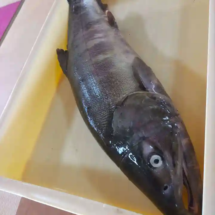 七重浜海津見神社(北海道)