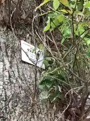 天神社（余坂天神社）(愛知県)