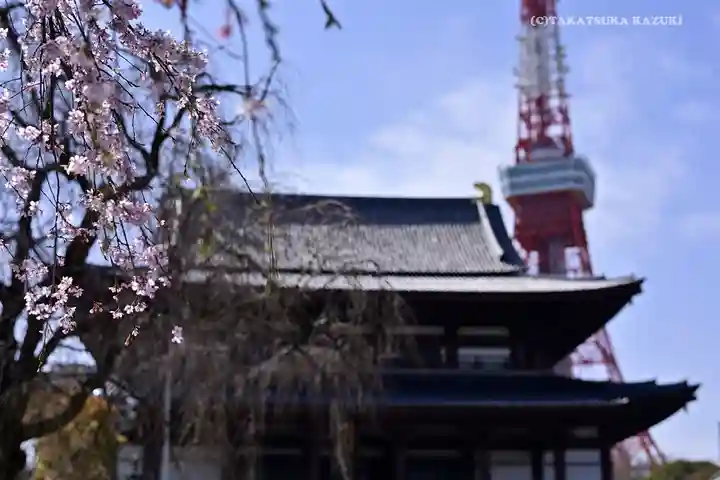 増上寺の本殿・本堂