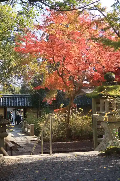 松尾大社の自然