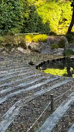 平安神宮(京都府)