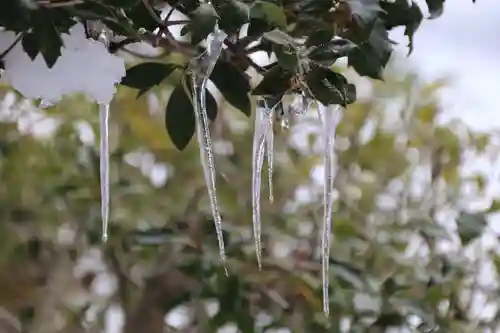 大鏑神社の自然