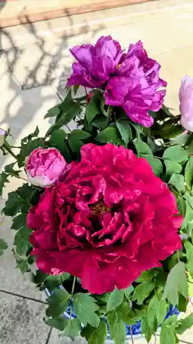 一乗寺(東京都)