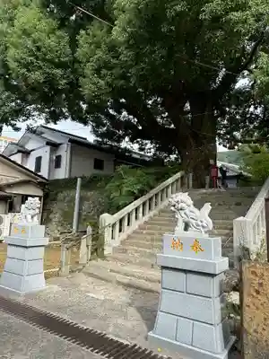 山王神社の狛犬