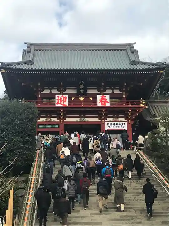 鶴岡八幡宮の初詣