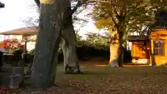 稲荷神社の建物その他