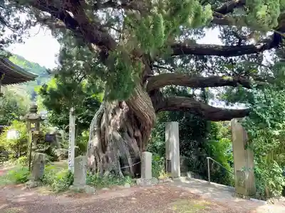 城願寺(神奈川県)