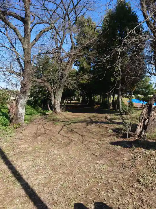 塚崎香取神社の周辺