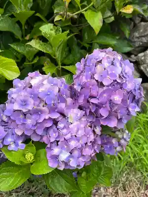 法船寺(長野県)