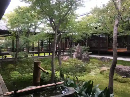 建仁寺（建仁禅寺）の庭園