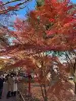 淨眞寺(東京都)