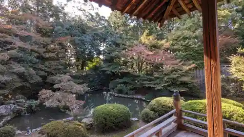 隨心院（随心院）(京都府)