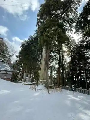 戸隠神社中社(長野県)