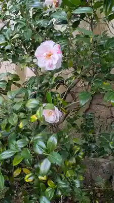 尊陽院(京都府)