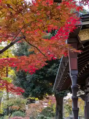 妙法寺(東京都)