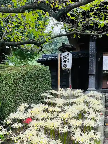 横浜　西方寺(神奈川県)