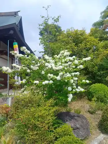 間々観音（龍音寺）(愛知県)