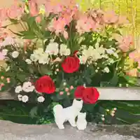 彌彦神社 (伊夜日子神社)の手水舎