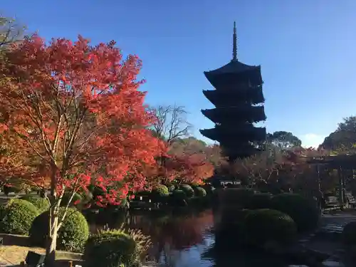 東寺（教王護国寺）の庭園