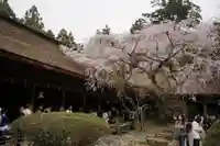吉野水分神社(吉野町)の本殿・本堂