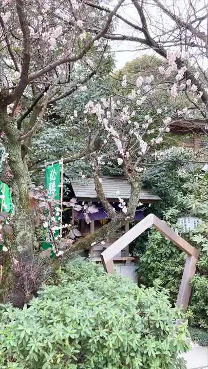 阿佐ヶ谷神明宮(東京都)