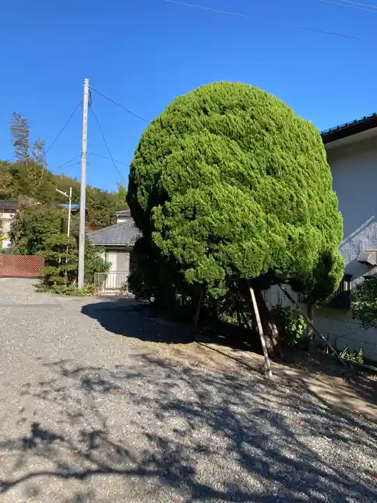 玉泉寺(神奈川県)