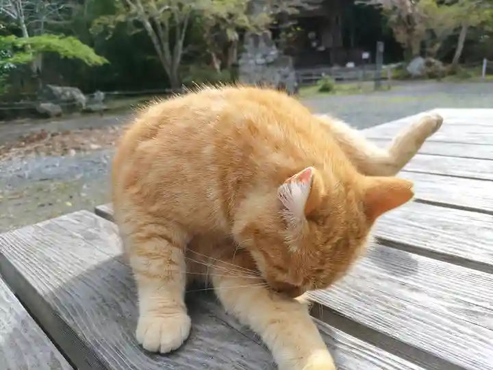 小松寺(千葉県)