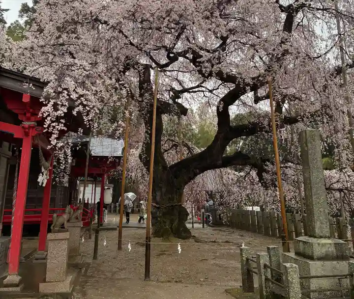小川諏訪神社(福島県)