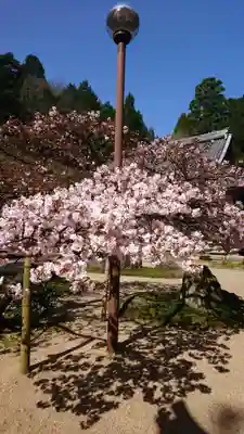 宗雲寺のその他建物