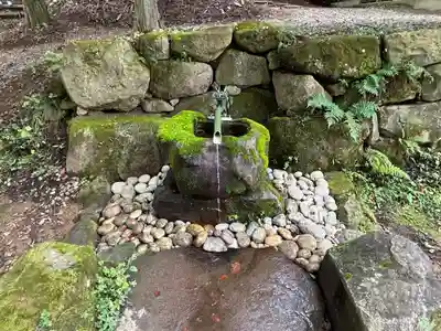 戸隠神社火之御子社(長野県)