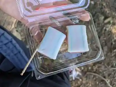 多賀大社(滋賀県)