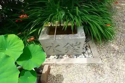 正覚院の手水舎