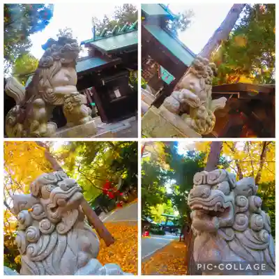 琴似神社(北海道)