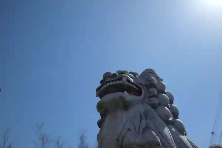 山梨縣護國神社の狛犬
