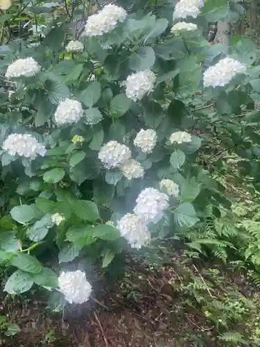 横峰寺(愛媛県)