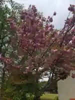 住吉神社の自然