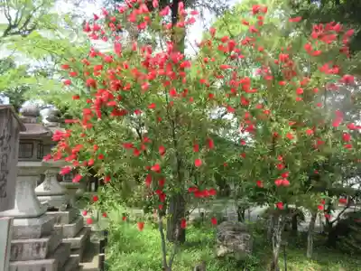 松尾大社(京都府)