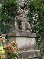 赤坂氷川神社の狛犬