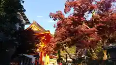 賀茂別雷神社（上賀茂神社）の自然