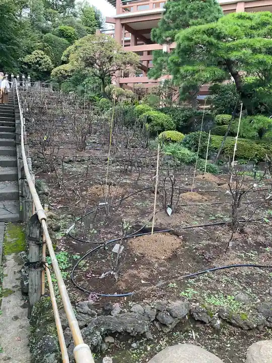東長谷寺 薬王院(東京都)