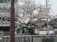 海徳寺(東京都)