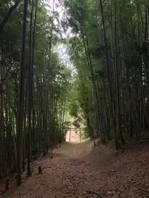 浅間神社(千葉県)