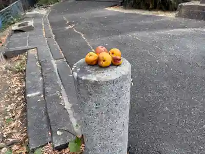 地藏院(大阪府)
