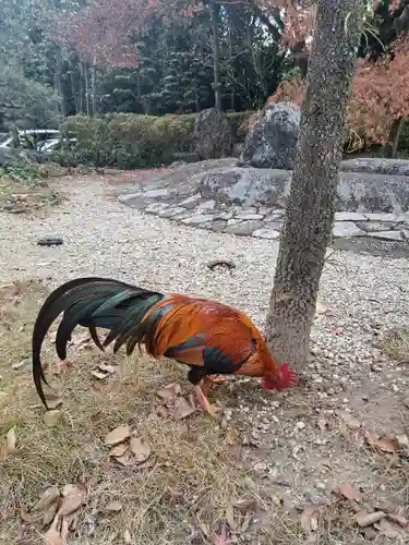 熱田神宮(愛知県)